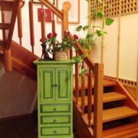 Home-Asiaschrank-grün-Möbel-Upcycling-Wien